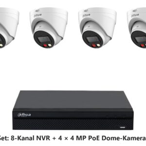 Dahua Set 8-Kanal NVR mit 4 x 4 MP PoE Dome-Kameras (Eyeball)