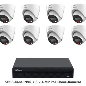 Dahua Set 8-Kanal NVR mit 8 x 4 MP PoE Dome-Kameras (Eyeball)