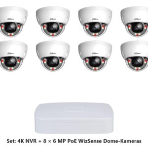 Dahua Set 8-Kanal 4K NVR mit 8 x 6 MP PoE WizSense Dome-Kameras (vandalsicher)